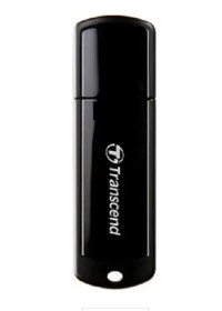 Transcend 256 GB	(plastic body)